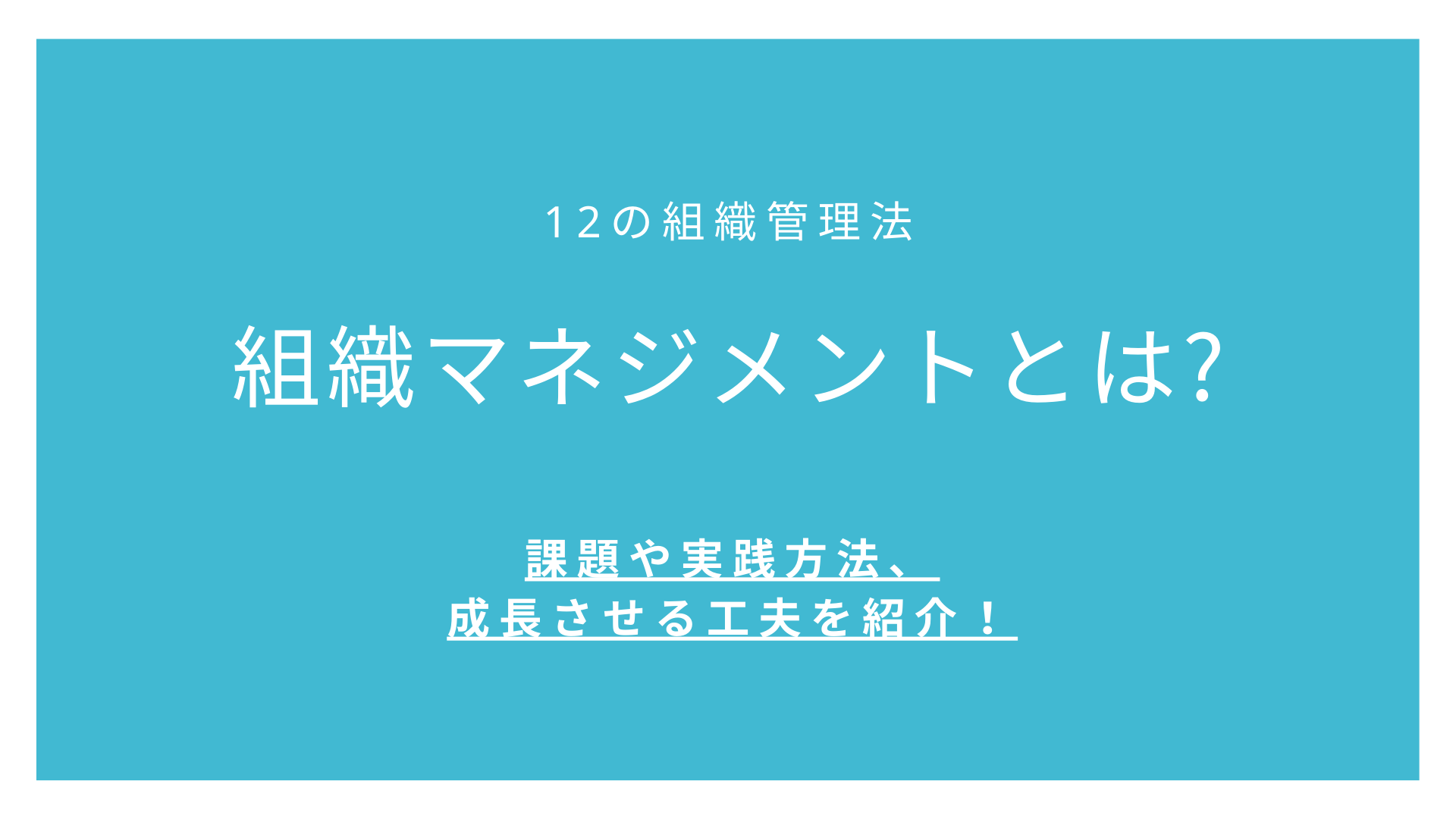組織マネジメントとは【12の組織管理法】課題や実践方法、成長させる工夫を紹介！